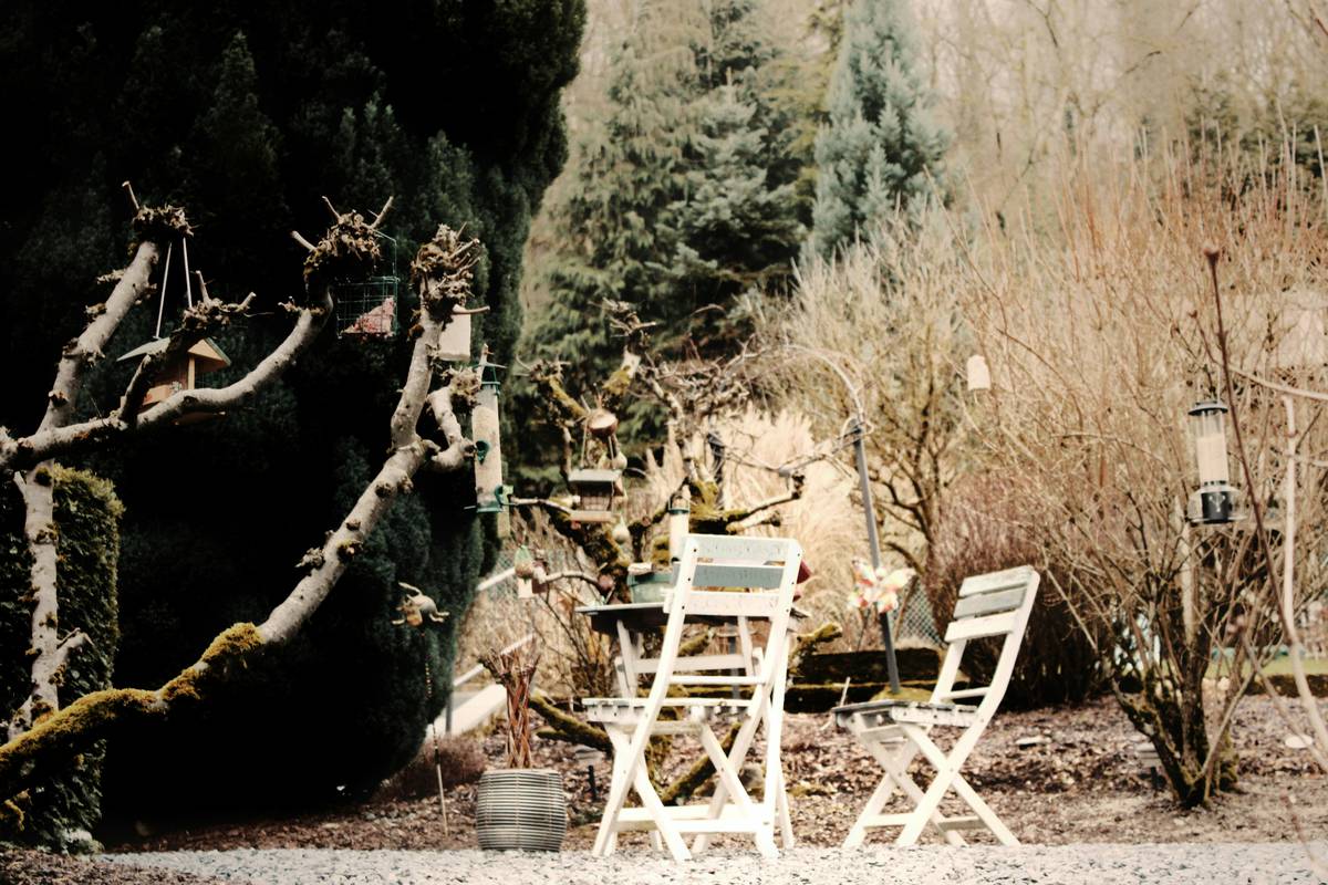Chair King Outdoor Furniture: 7 Proven Ways to Avoid Painful Garden Chair Mistakes