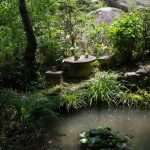 Garden Furniture Wooden Chairs: 7 Proven Tips to Avoid Costly Mistakes