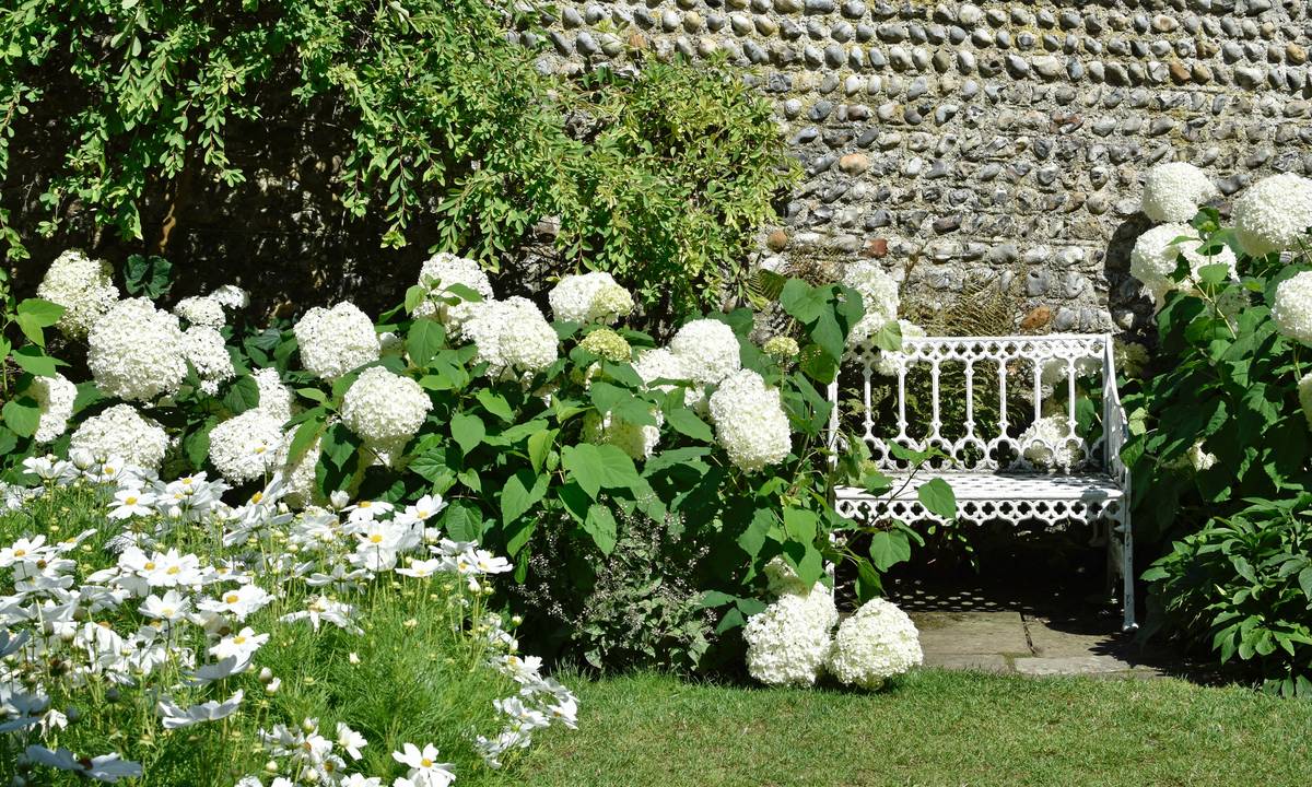 Three weather-resistant garden furniture wooden chairs arranged on a sunlit patio with potted plants